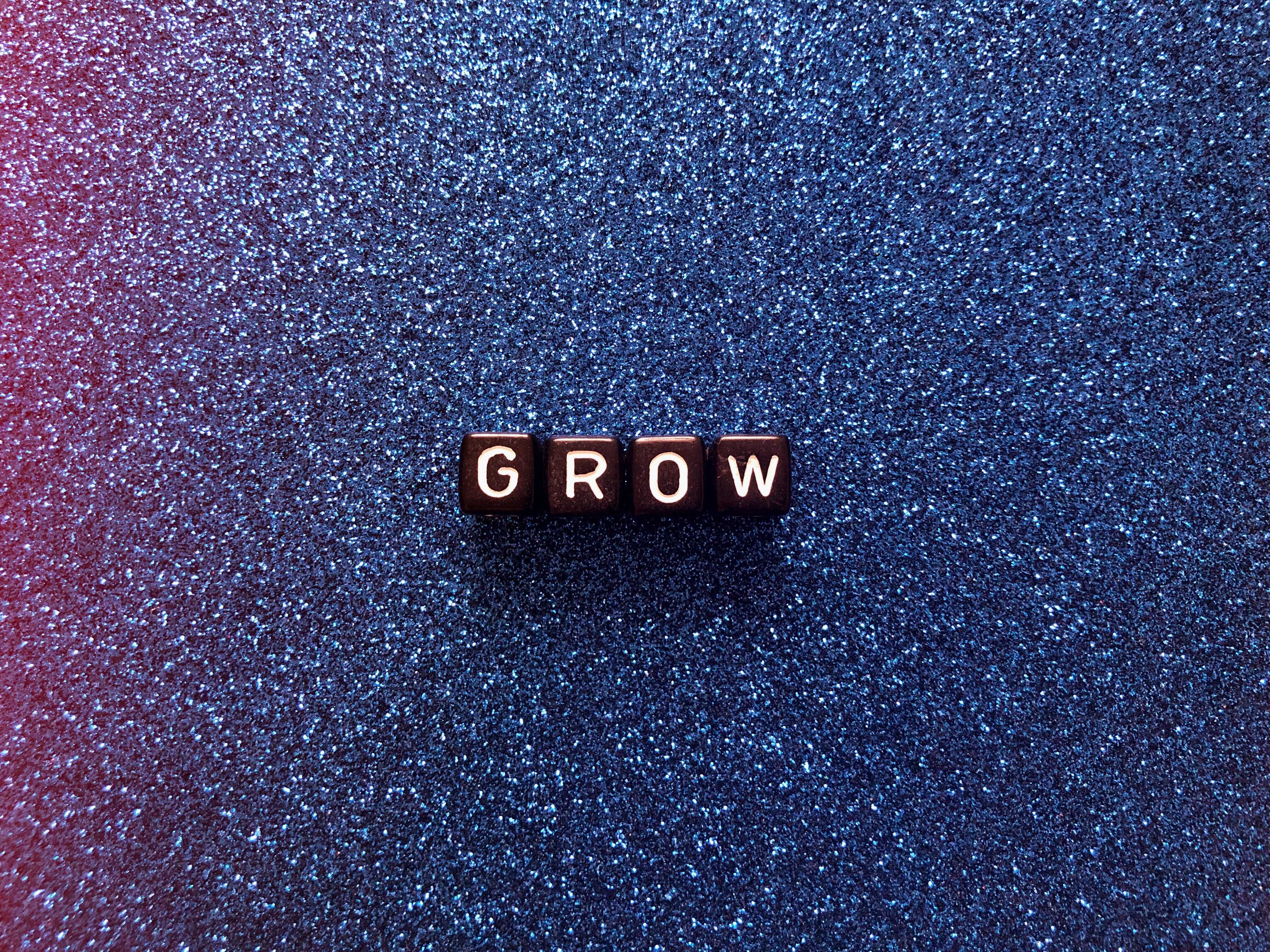 4 Ways to Grow your Startup Business